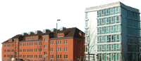 institut_frei