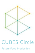 CubesCircle.png
