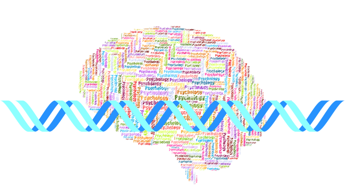 Ancillary Study.text.image0
